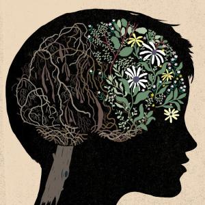 http://www.nytimes.com/2015/03/17/health/older-really-can-mean-wiser.html