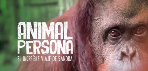 Sandra